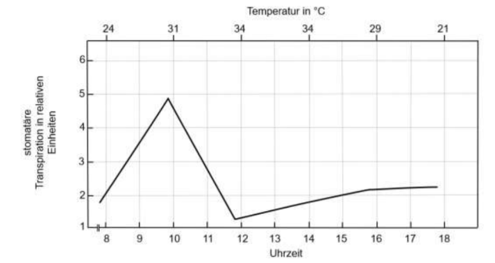 Diagramm der stündlichen Transpirationsrate und Temperatur im Tagesverlauf.